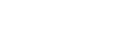 IVS Group