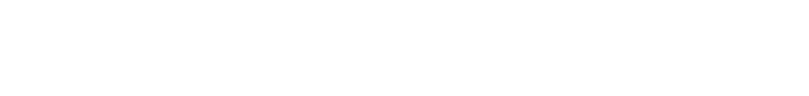 Max Mara Fashion Group