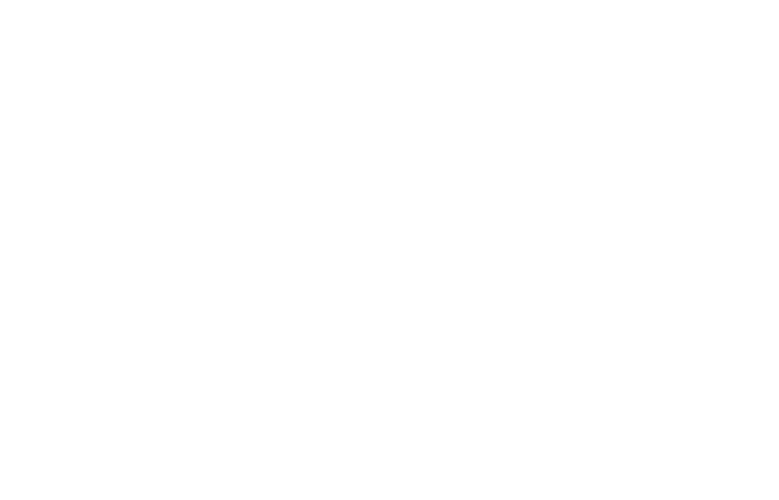 Onitsuka Tiger